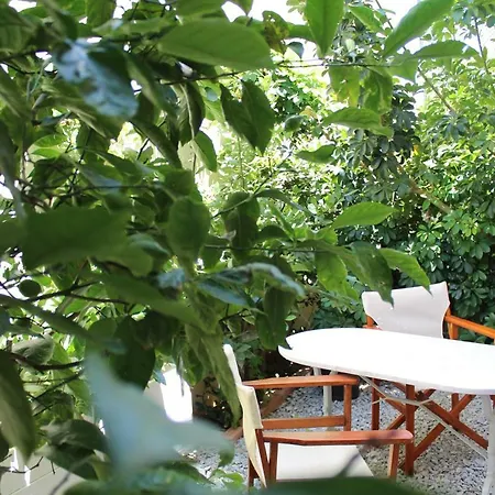 Apartamento Antelia Homes *